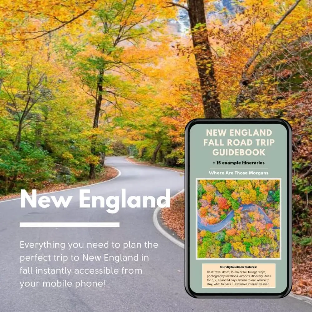 Where Are Those Morgans New England fall travel guidebook