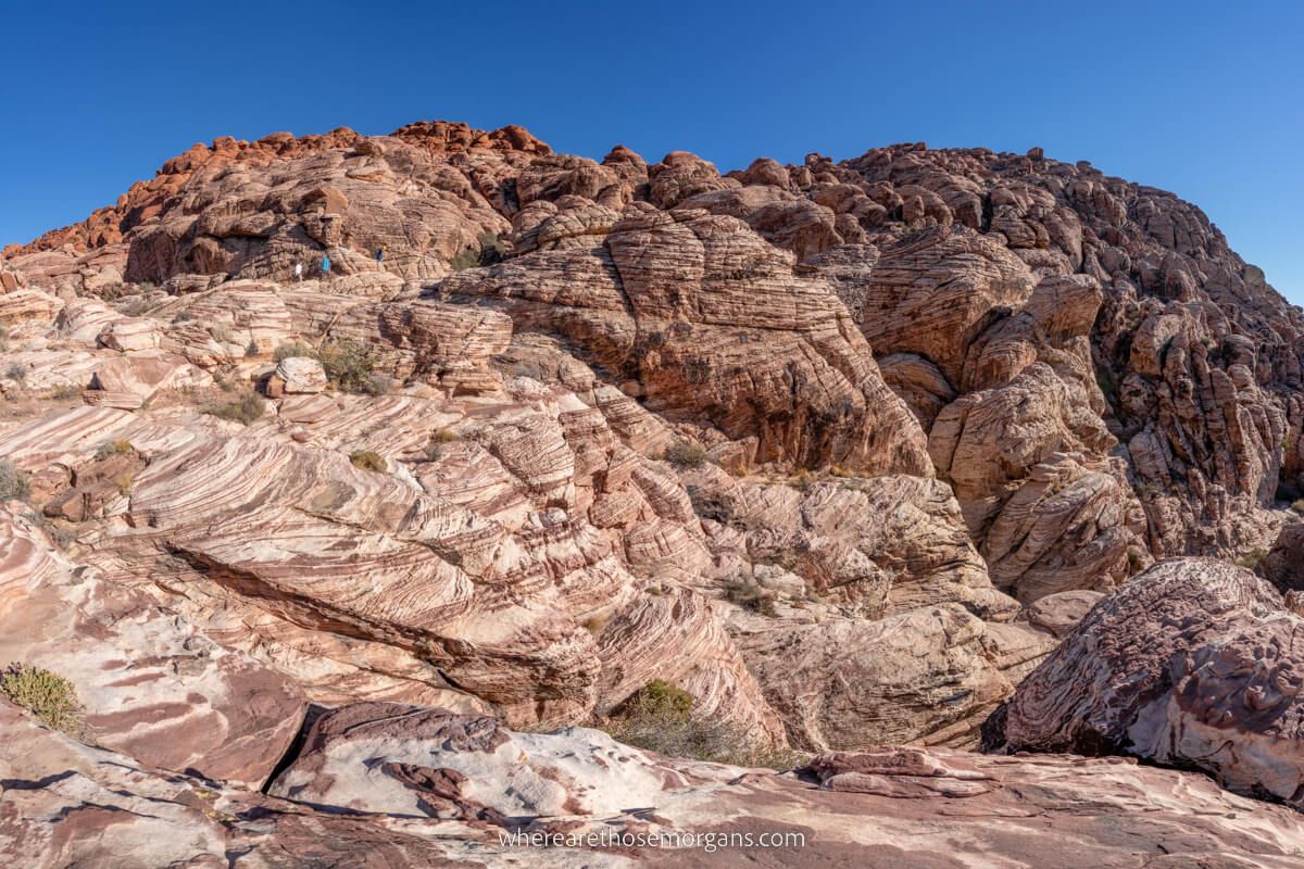 Stunning red rock formations at Calico Hills near the entrance to Red Rock Canyon in Las Vegas Nevada swirling patterns and layers of sandstone on a sunny day with blue sky