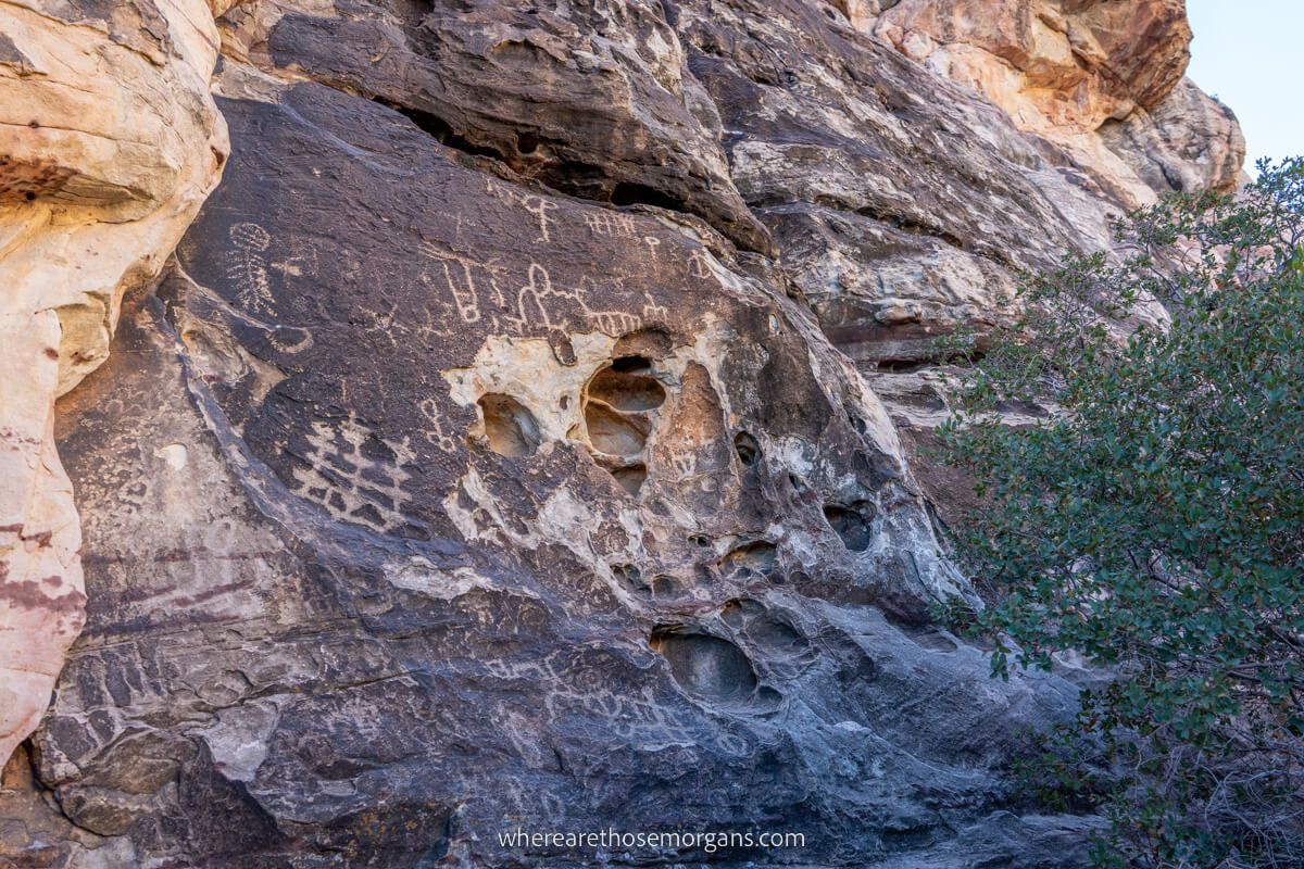 Petroglyph Wall rock art next to juniper tree in Nevada