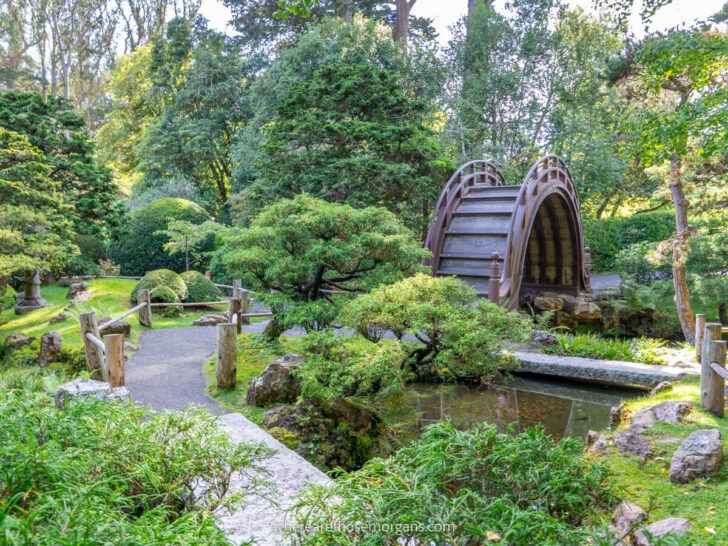 Complete Guide To The Japanese Tea Garden In San Francisco