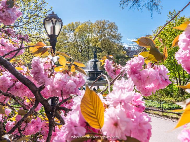 10 Things To Know About Visiting NYC In April