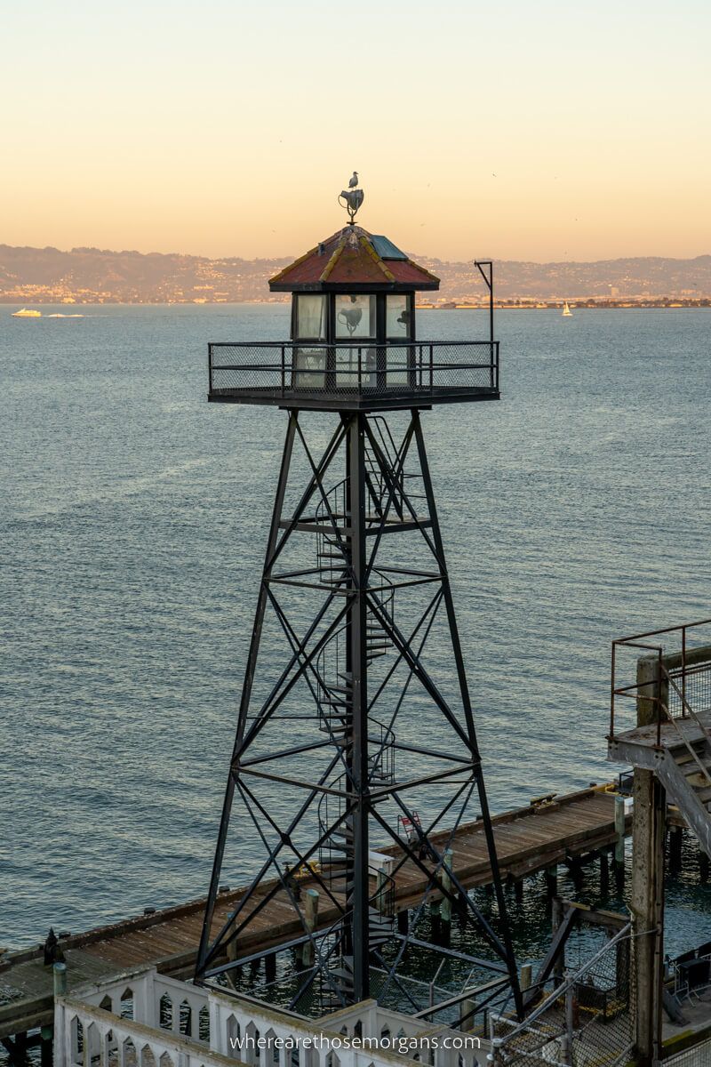 Old watch tower with a seagull perched on top