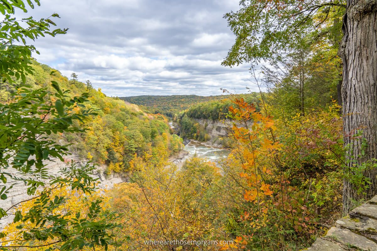 View of Eddy's Lookout withview of the gorge and Genesee River