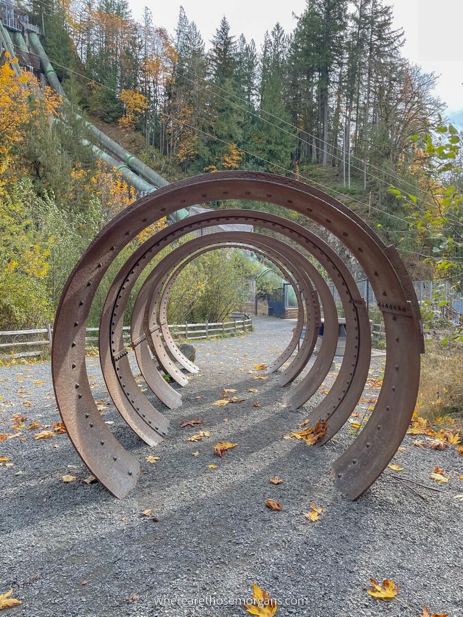 Round metal brackets cemented into the ground to create a tunnel