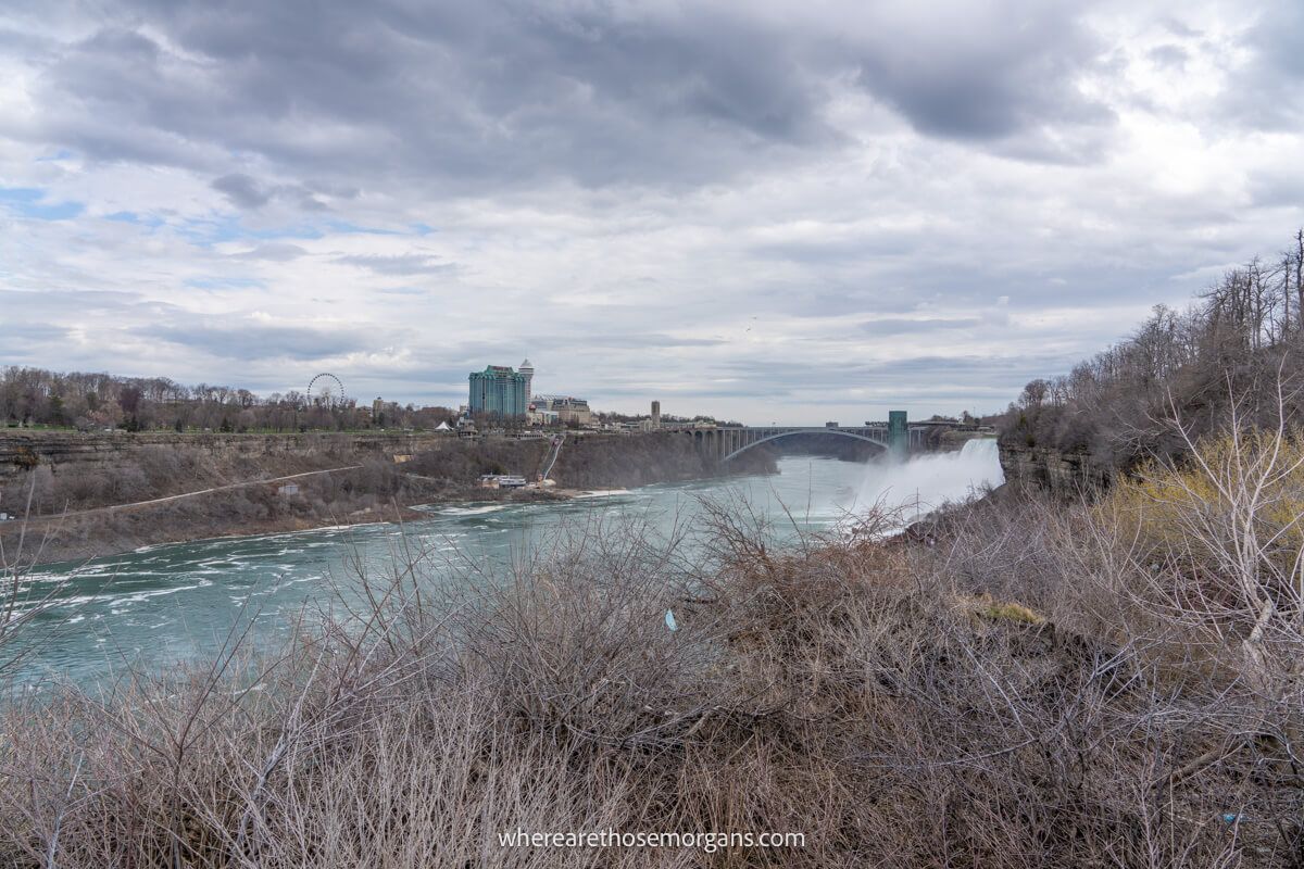 Bare vegetation at the Niagara Gorge in the early spring
