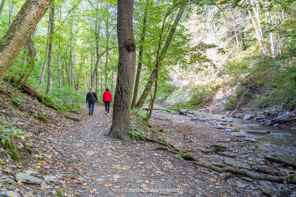Two people walking along a hiking trail in upstate New York