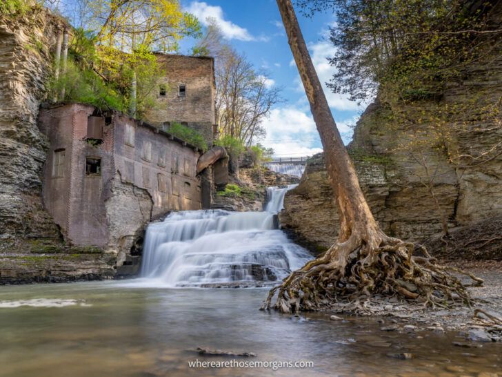 12 Unmissable Waterfalls To See In Ithaca, NY