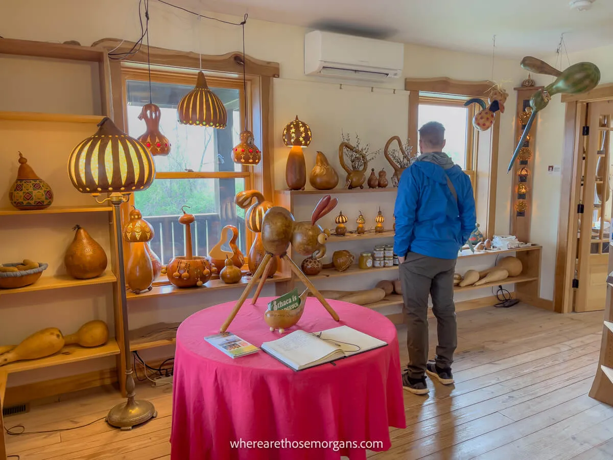 Man looking at art for sale at Gourdlandia