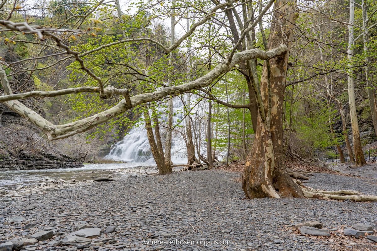 Waterfall visible through bare trees and a gravel path