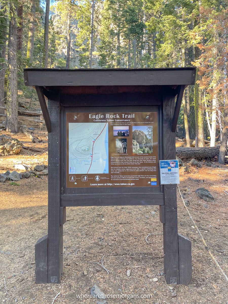 Trailhead information board with details on wildlife and trail conditions in a forest