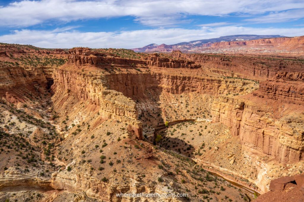 View from Goosenecks point overlooking a large red canyon