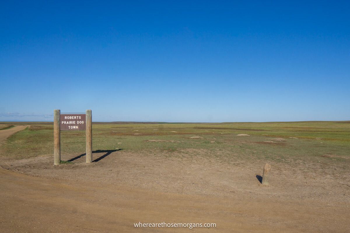 Many holes and a wooden sign at Roberts Prairie Dog Town
