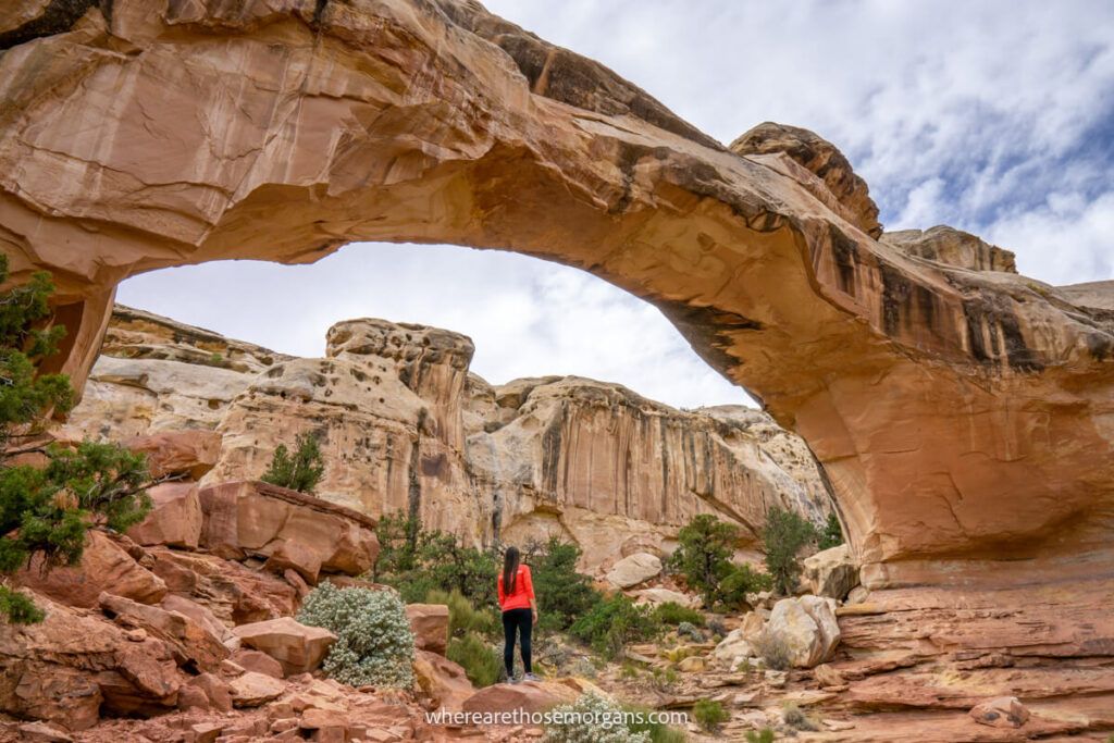 Woman standing underneath Hickman Bridge one of the best hikes in Capitol Reef