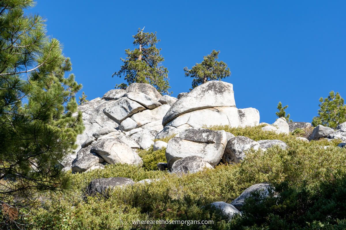Large boulders surrounded by green vegetation and a deep blue sky