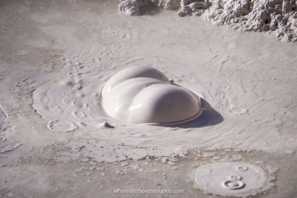 A bubble in mud at a hydrothermal feature