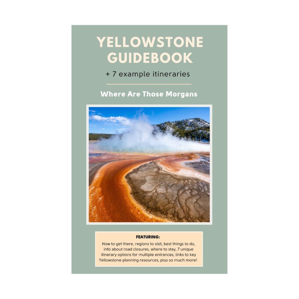 Where Are Those Morgans Yellowstone Guidebook