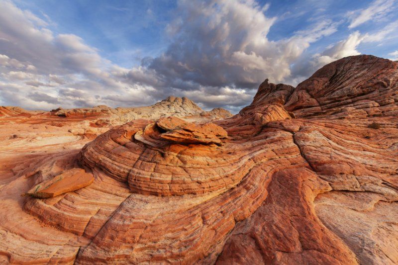 Swirling patterns in a landscape in the American southwest