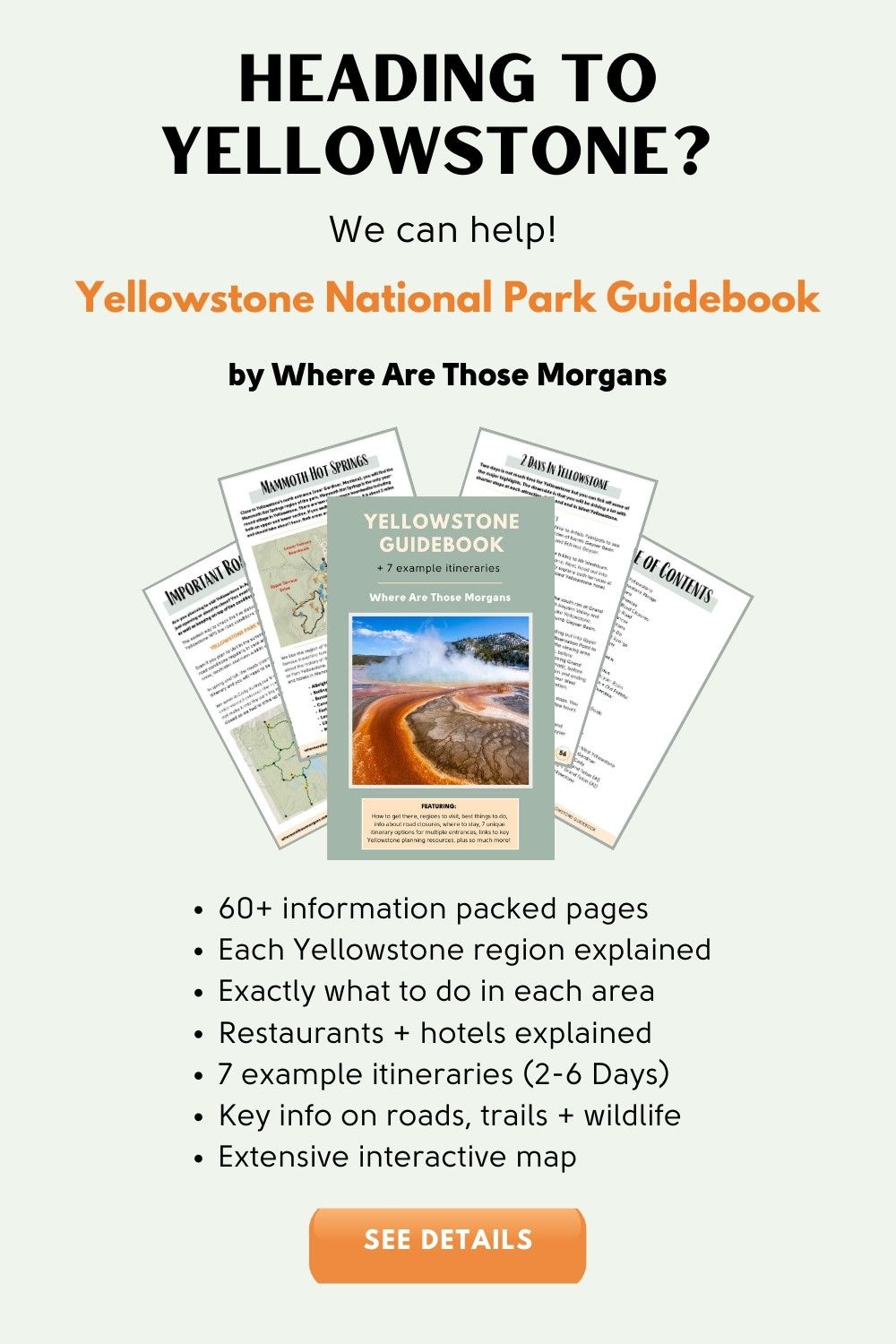 Where Are Those Morgans Yellowstone Guidebook