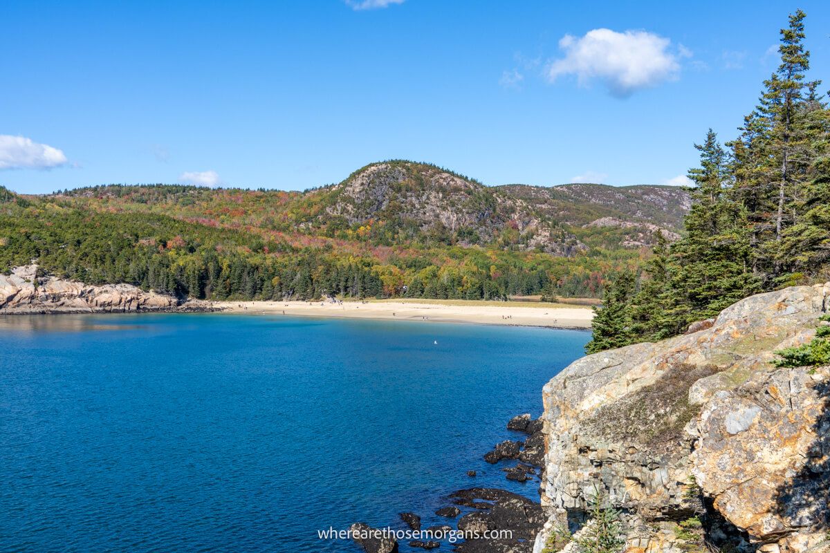 View from a headland looking back at a cove, beach and hills covered in trees