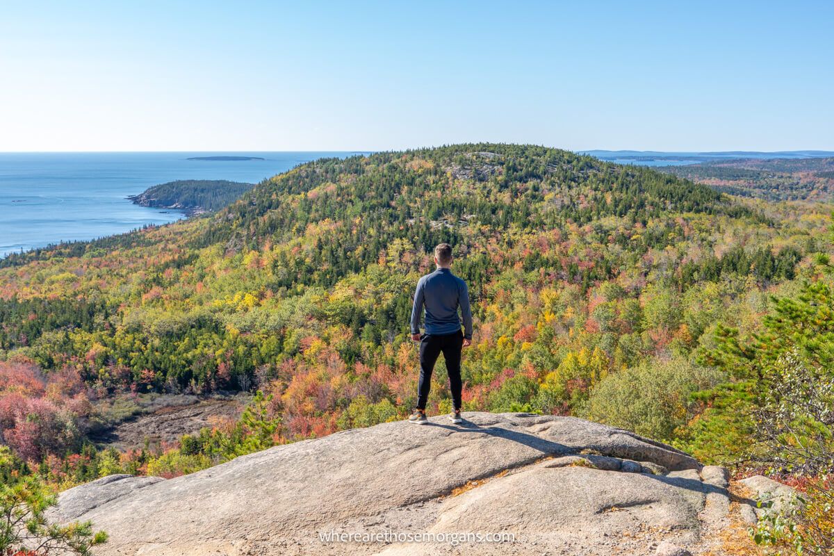 Hiker stood on a flat rock looking at far reaching views over rolling hills covered in trees with fall foliage colors and the ocean at the summit of Beehive Trail hike in Acadia National Park