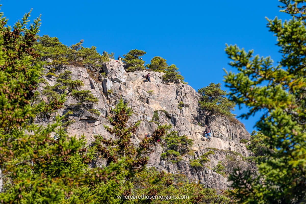 Steep and exposed cliff face surrounded by trees with hikers navigating narrow ledges on the Beehive Loop Trail in Acadia