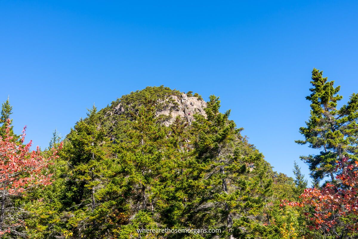 A beehive-shaped mound covered in trees with hikers climbing narrow ledges to summit