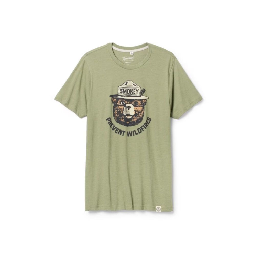 Smokey the bear prevent wildfires t-shirt in green