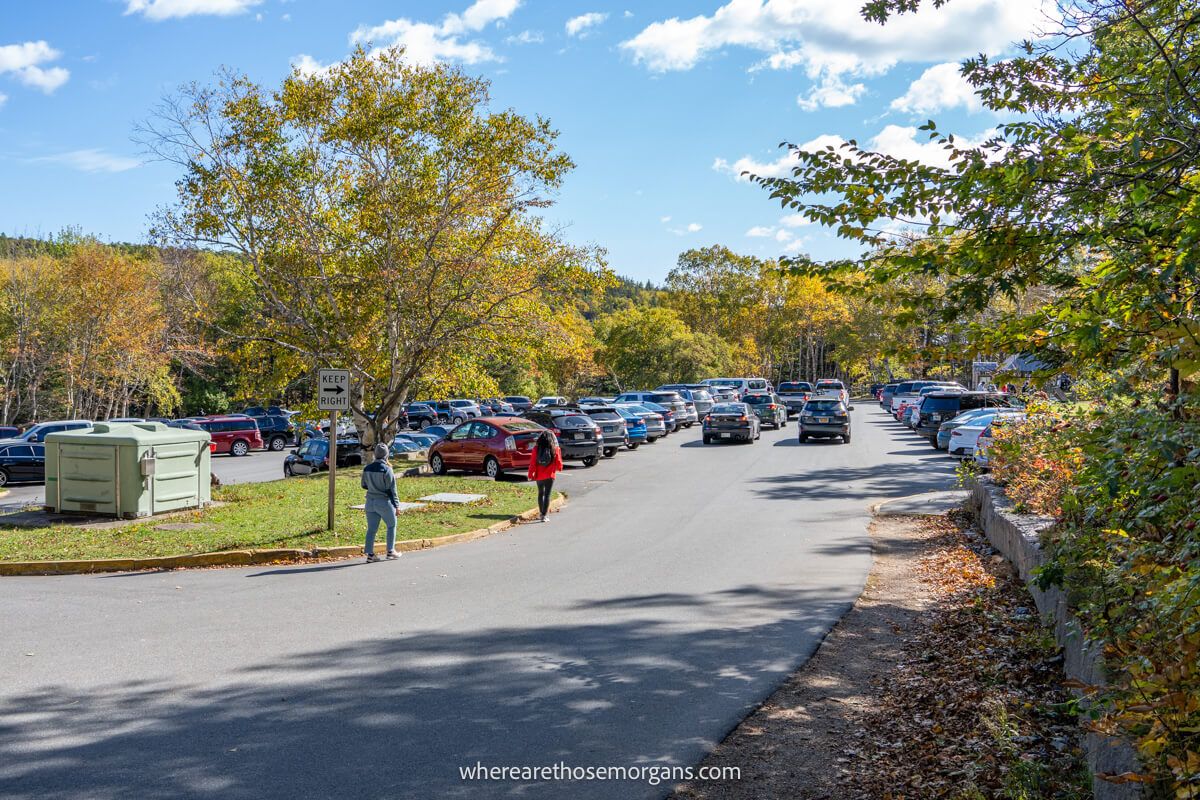 Line of cars waiting to park in a busy parking lot surrounded by trees