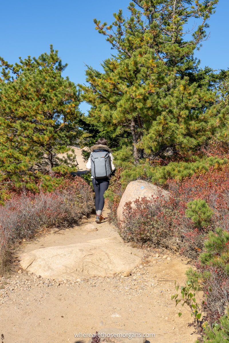 Hiker walking through lush vegetation at the top of a mountain