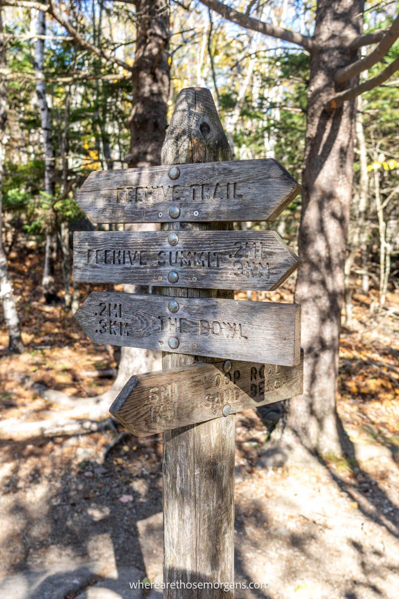 Wooden sign markers on the Beehive Loop Trail in Acadia showing directions for different paths