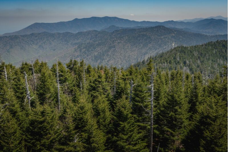 Mount Leconte in Great Smoky Mountain National Park TN rolling hills filled with green trees and hazy misty clouds