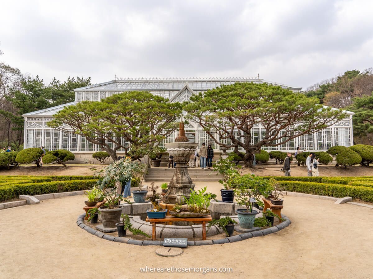 Greenhouse and two bonsai trees at Changgyeonggung Palace