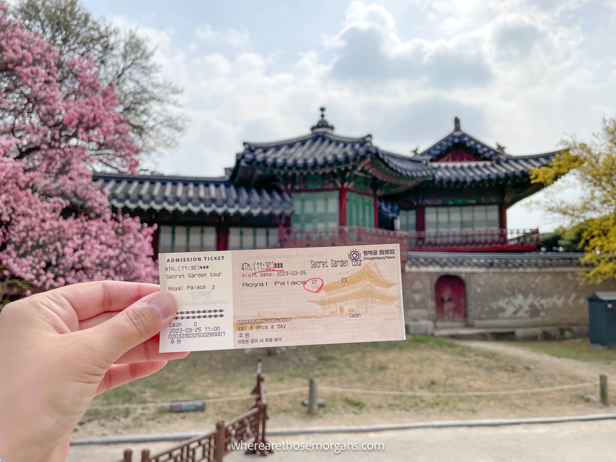 Tickets for the Human Secret Garden in Seoul, South Korea