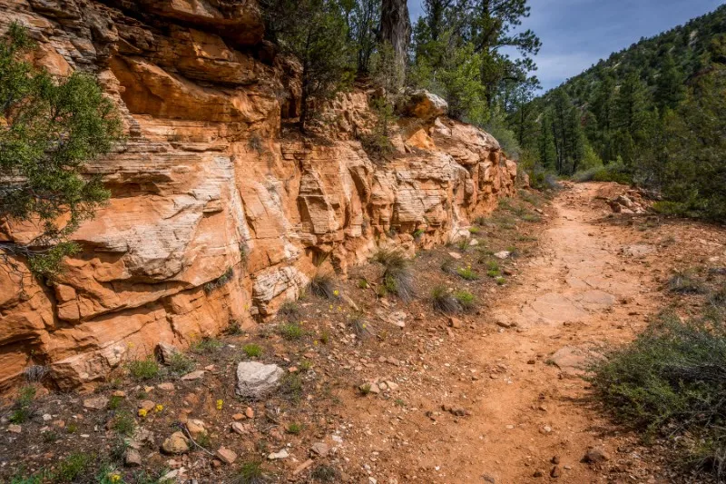 Rocky path next to a short rocky cliff leading to trees