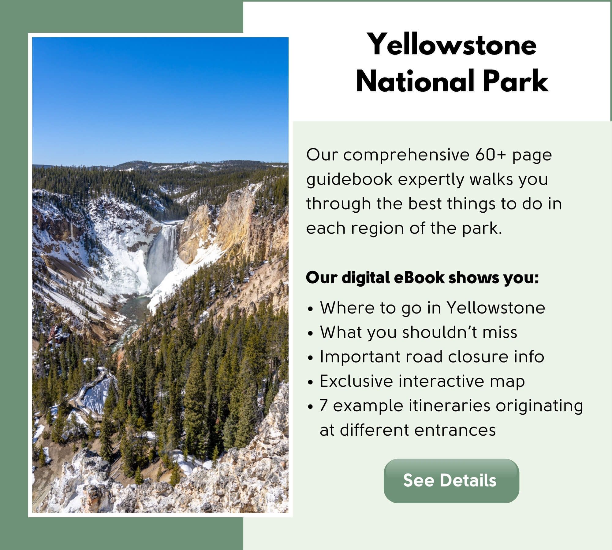 Yellowstone National Park Travel Guidebook by Where Are Those Morgans