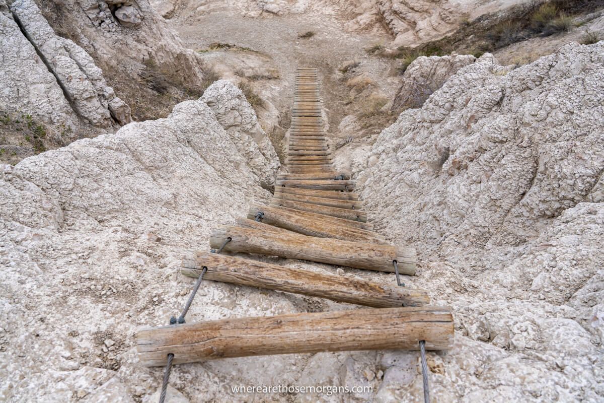 The Badlands ladder from the top looking down