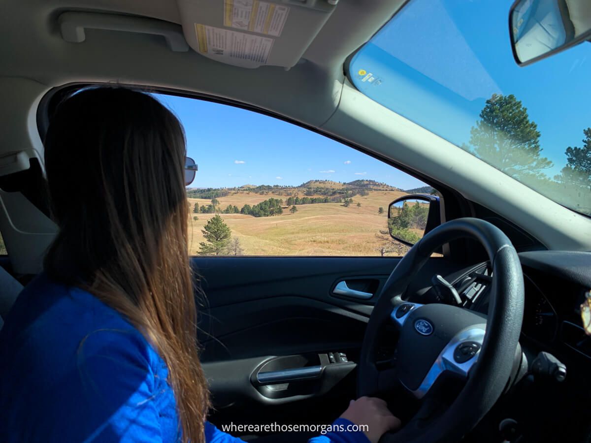 Photo of a car driver looking out of an open window at a landscape filled with golden grass and trees