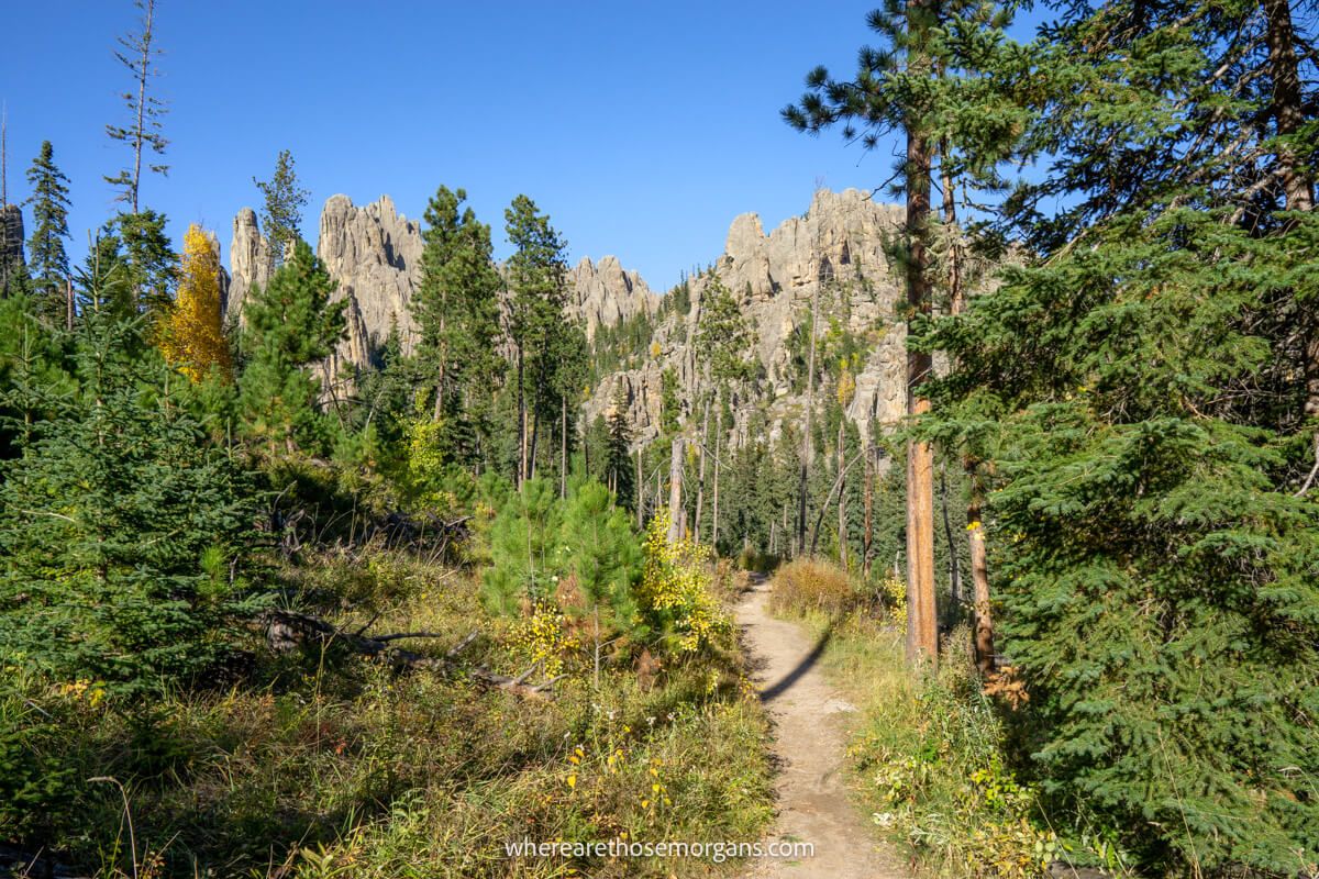Hiking trail in Custer State Park leading through trees towards tall granite peaks on clear day with no clouds