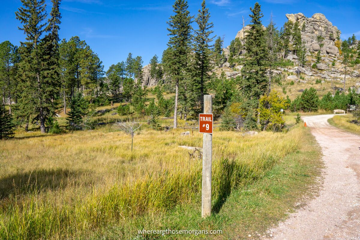Small wooden pole with orange sign stating trail 9 in a pretty meadow