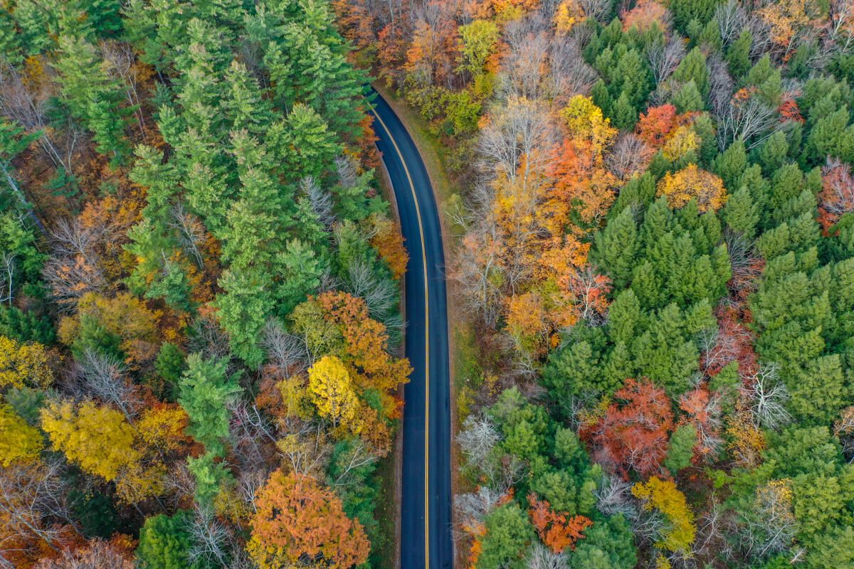 Drone photo of a road cutting through a forest with colorful leaves on trees