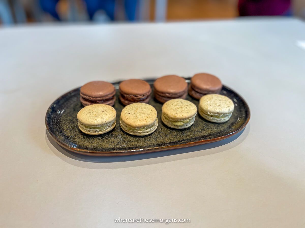 Eight macarons sitting on a plate after a pastry making class