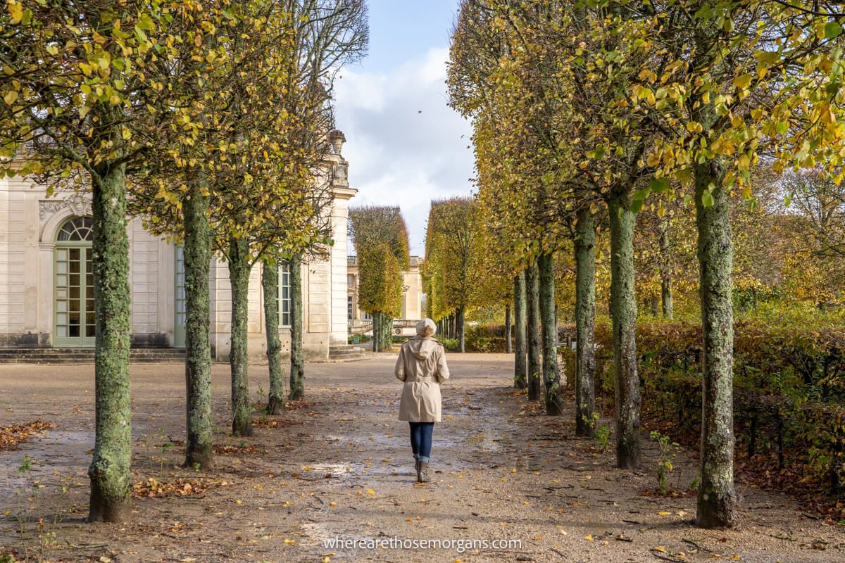 Tourist in long coat walking alone through gardens with lined trees