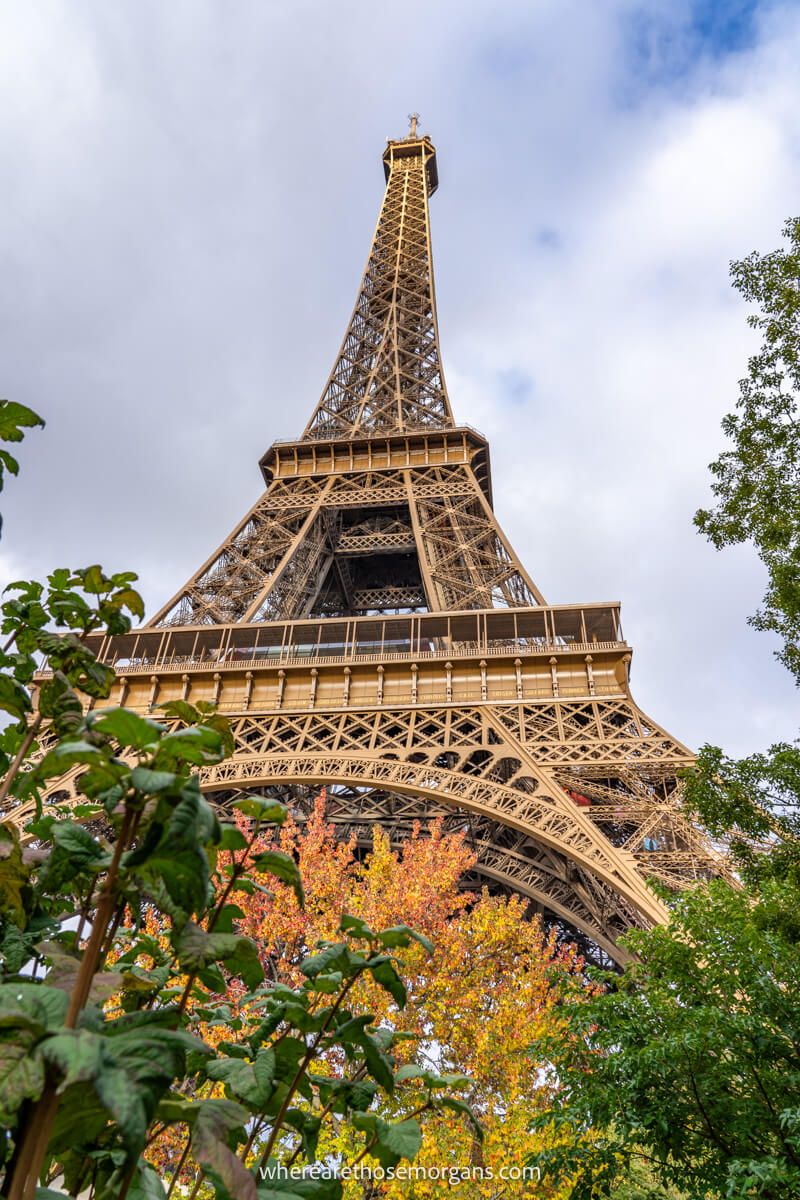 The Eiffel Tower as seen from the gardens below