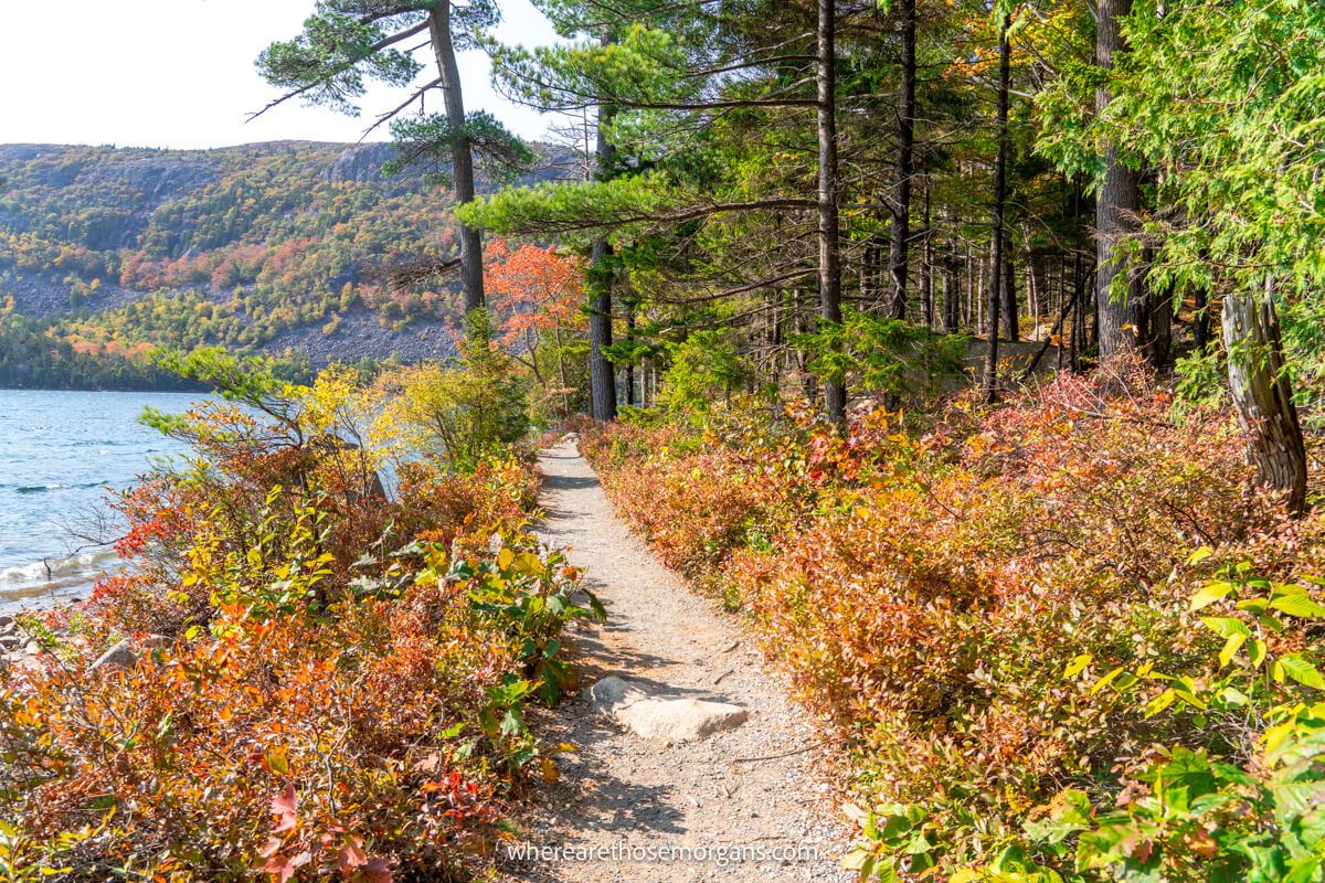 Gorgeous hiking trail with bright fall foliage around Jordon Pond