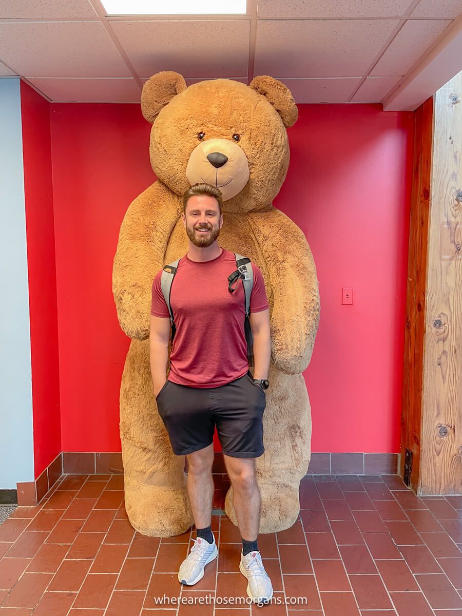 Man standing in front of a life sized teddy bear at the Vermont Teddy Bear Factory