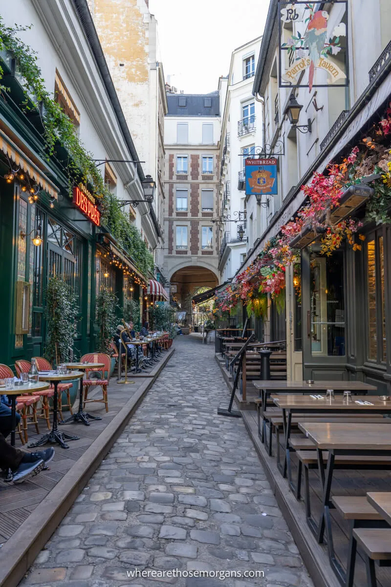 A cute passageway in Paris just opening for the evening