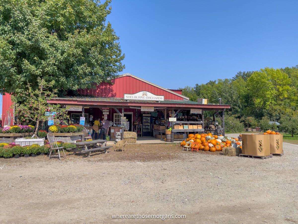 Exterior views of the Shelburne Orchards with pumpkins for sale out front