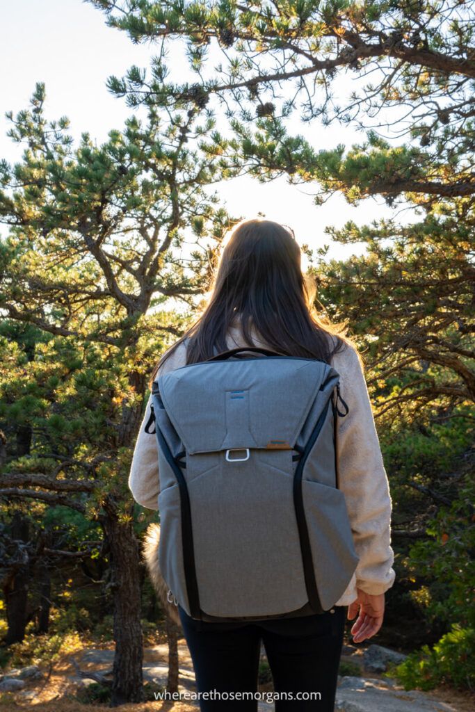 A silhouette of a woman hiking a trail in the fall season with a peak design backpack