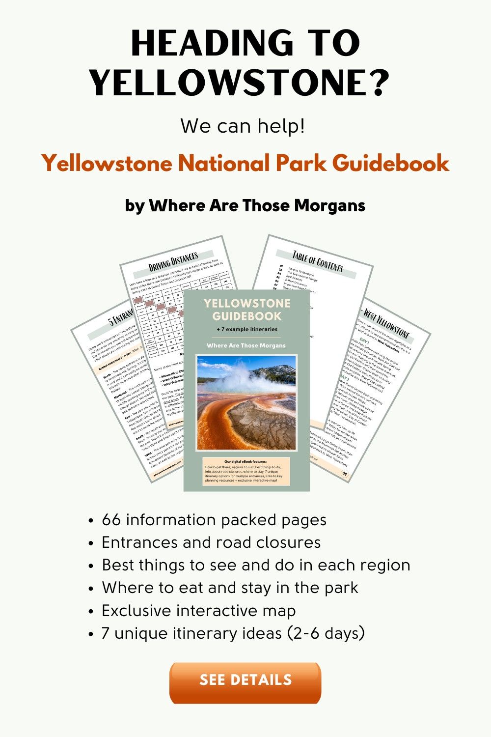 Photo showing why readers should buy Where Are Those Morgans Yellowstone travel guidebook