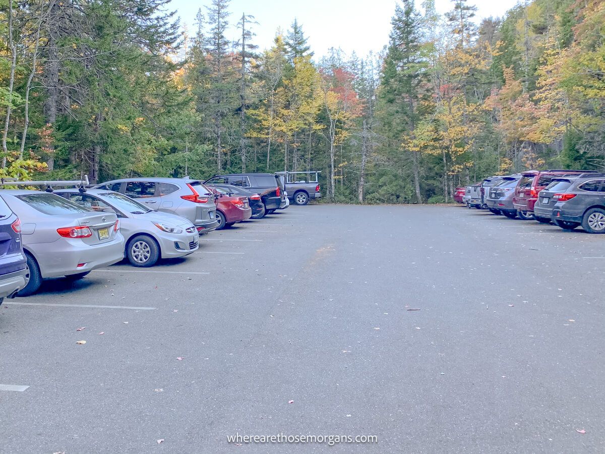 Cars parked on both sides of a lot surrounded by trees